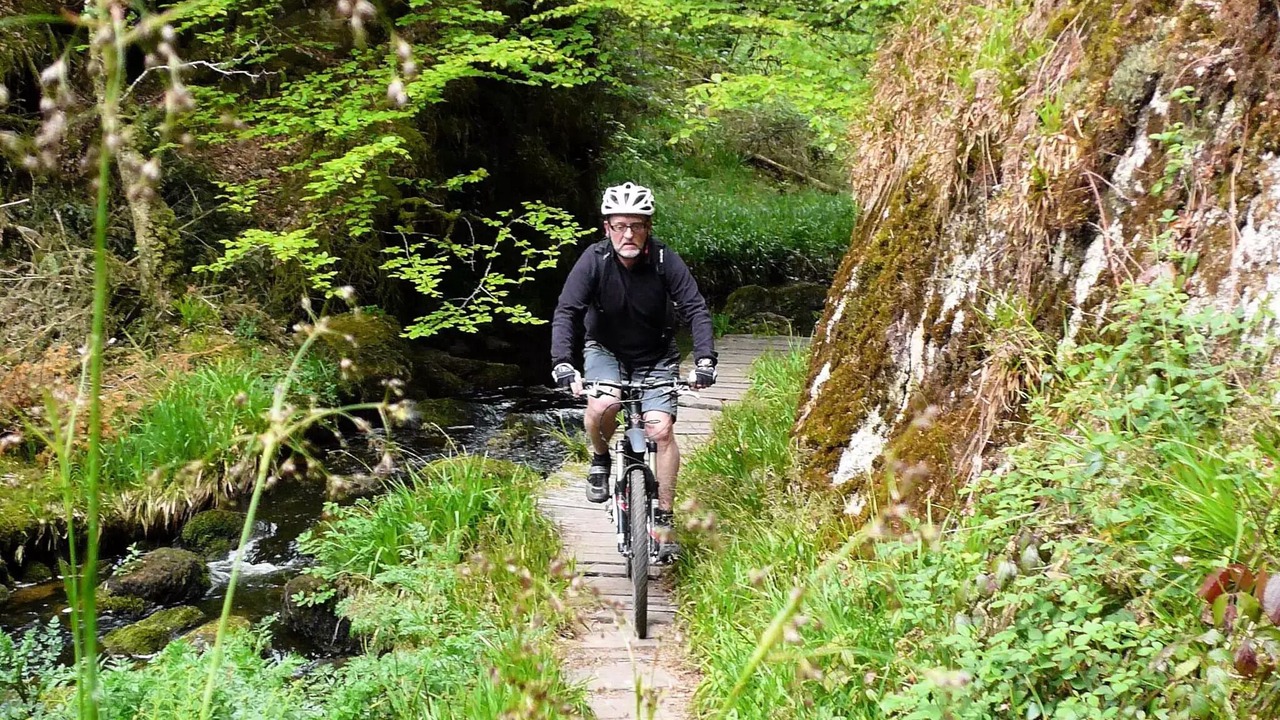 Photo of Others in Huelgoat