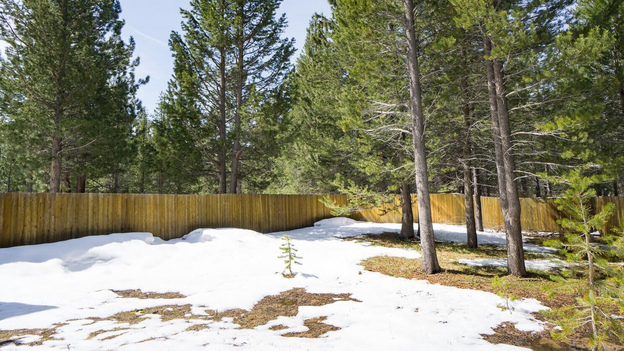 Photo of Others in Tahoe Valley