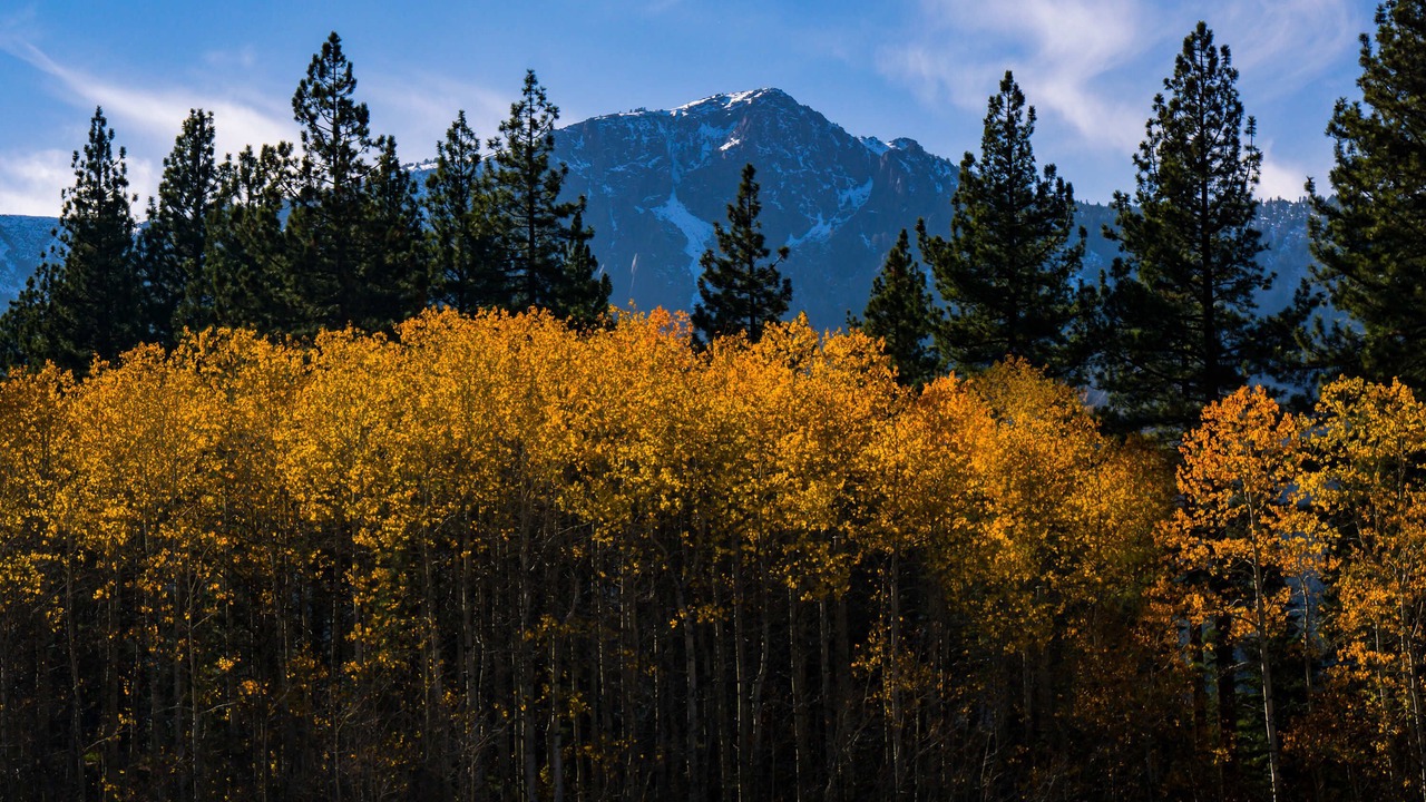 Photo of Others in Tahoe Valley