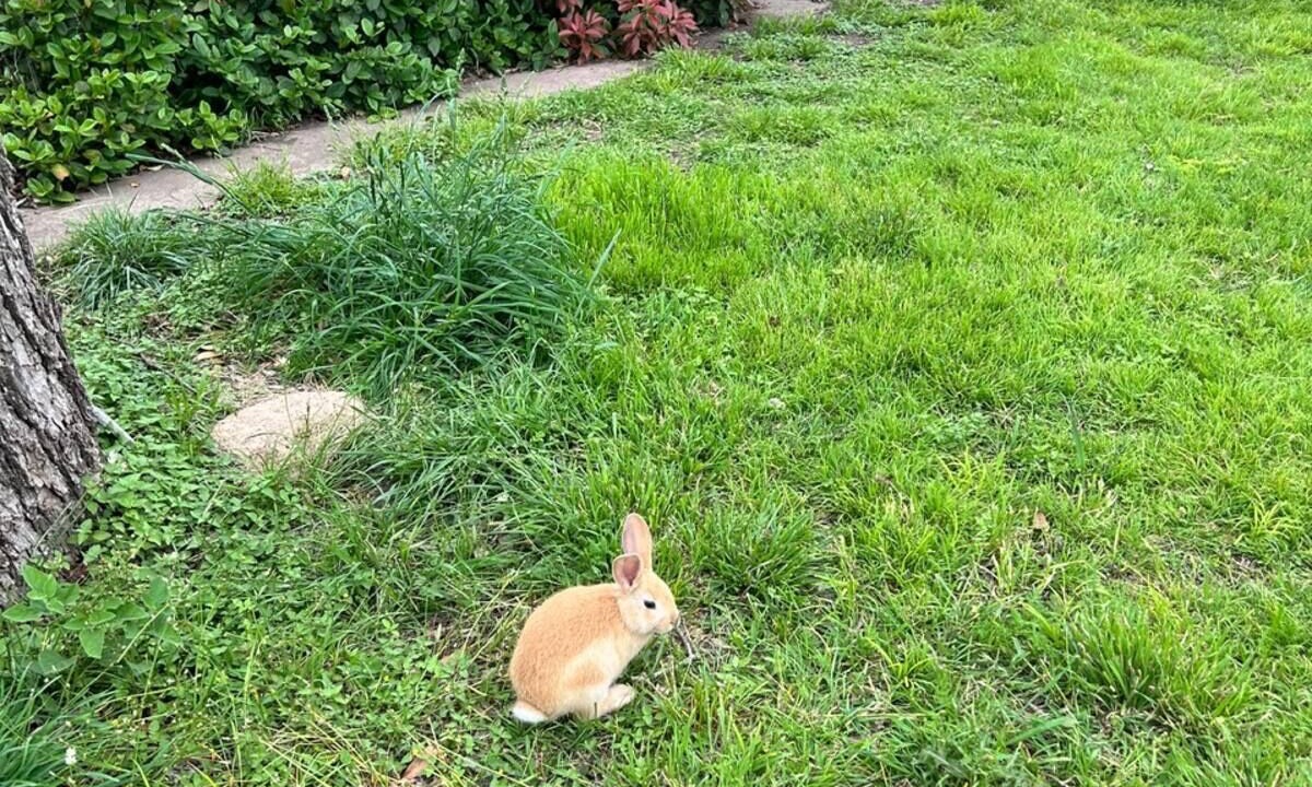 Photo of Outdoor in Hamilton