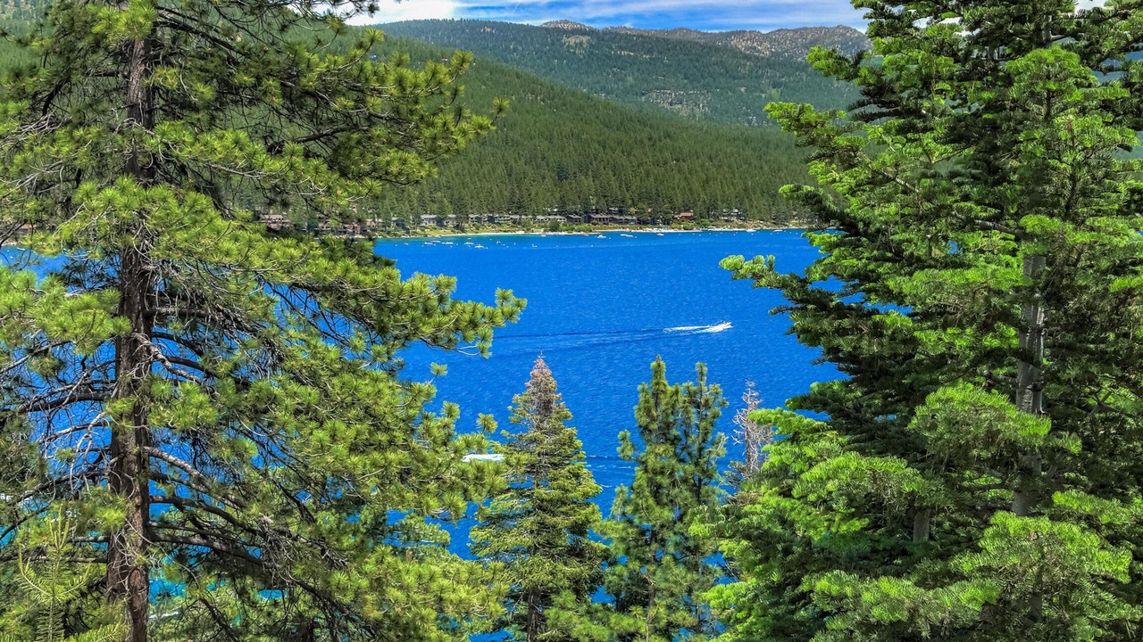 Photo of Others in Crystal Bay