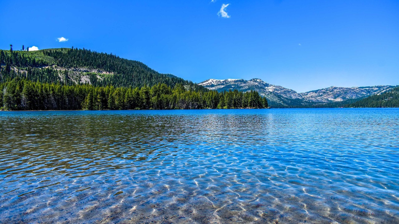 Photo of Others in Tahoe Vista
