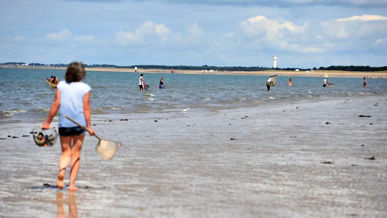 Photo of Others in Saint-Jean-de-Monts