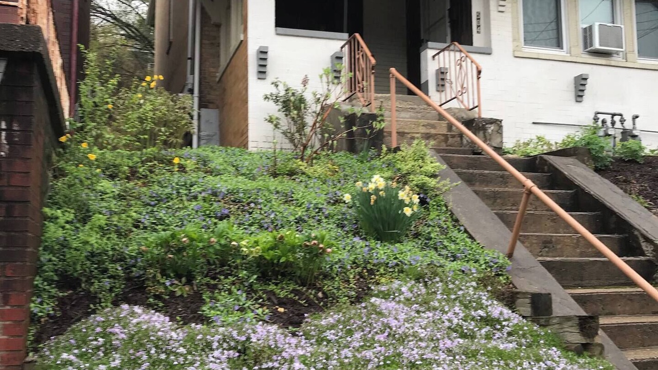 Photo of Outdoor in Forest Hills