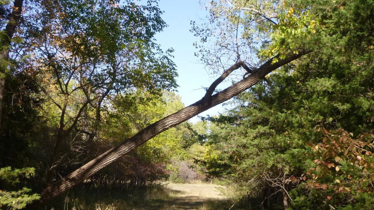 Photo of Others in Merrick County