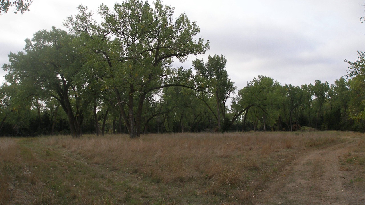 Photo of Others in Merrick County