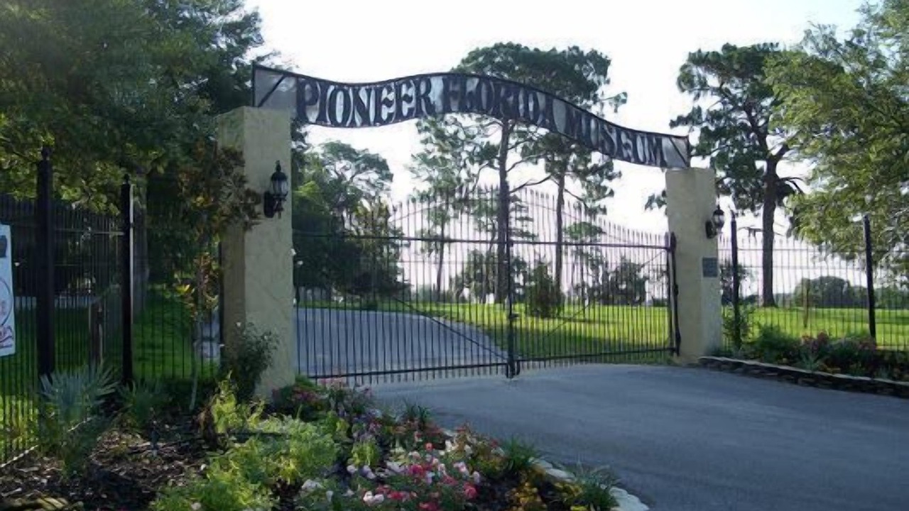 Photo of Outdoor in Zephyrhills