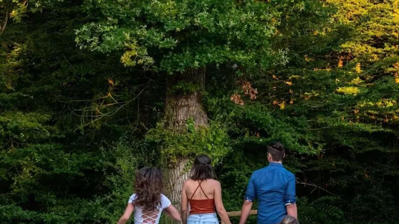 Photo of Others in Dienne