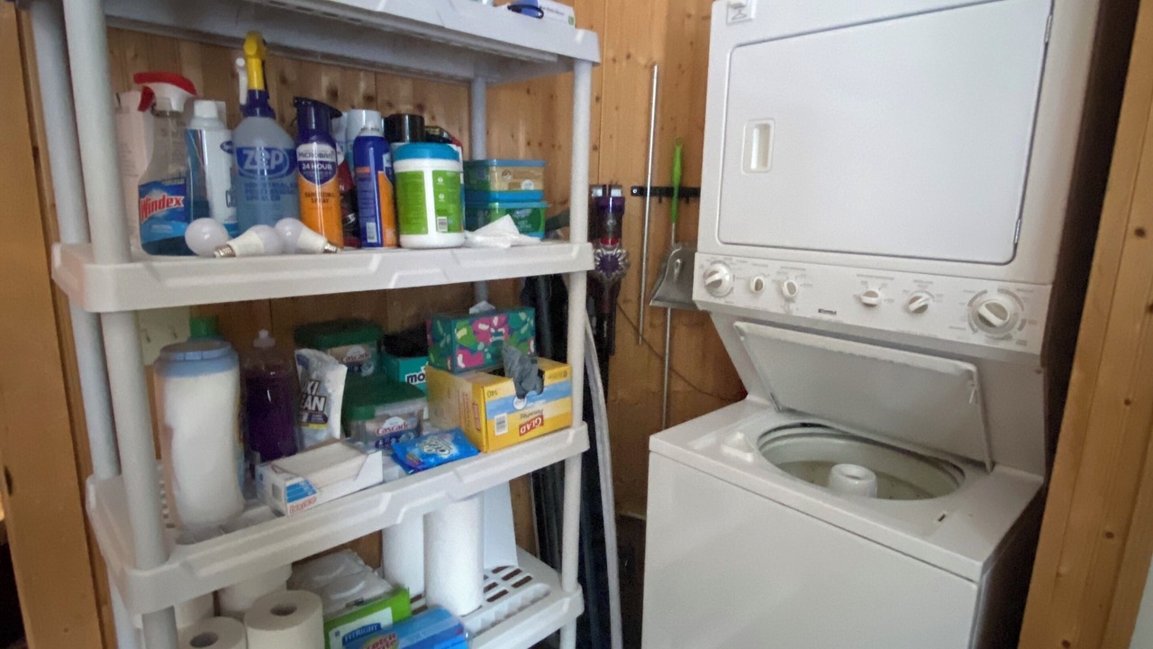 Photo of Others in Malletts Bay