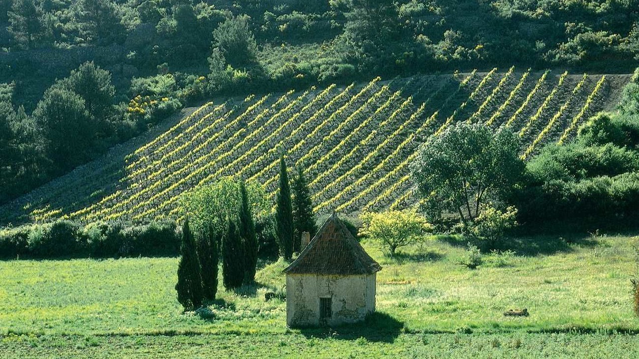Photo of Others in Puisserguier