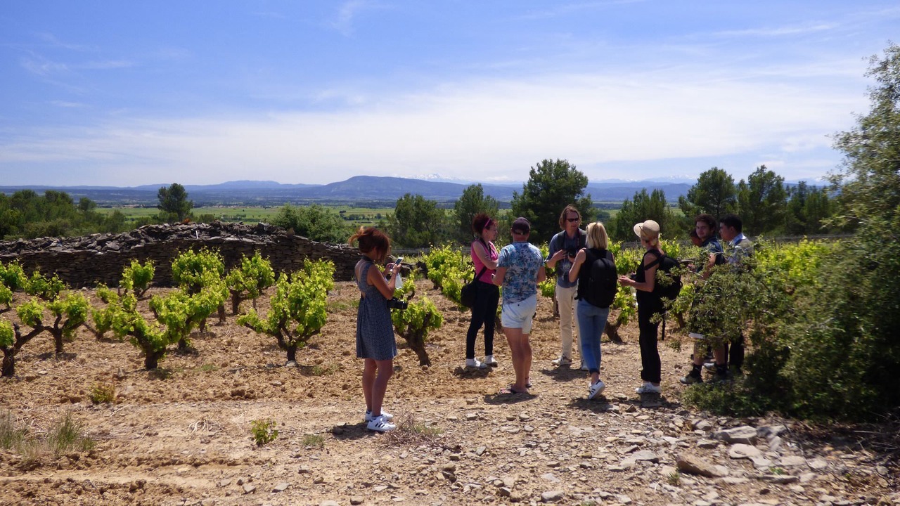 Photo of Others in Puisserguier