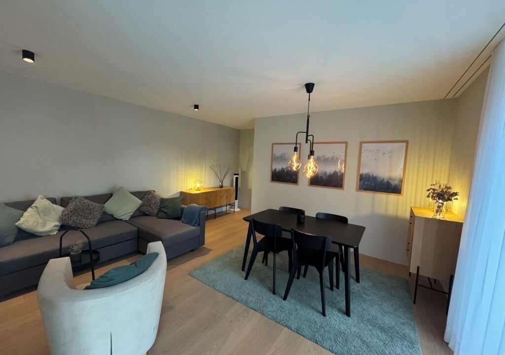 Photo of Livingroom in Horgen District