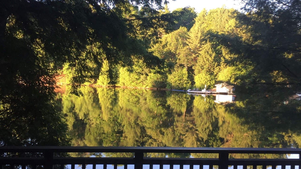 Photo of Others in Muskoka Lakes