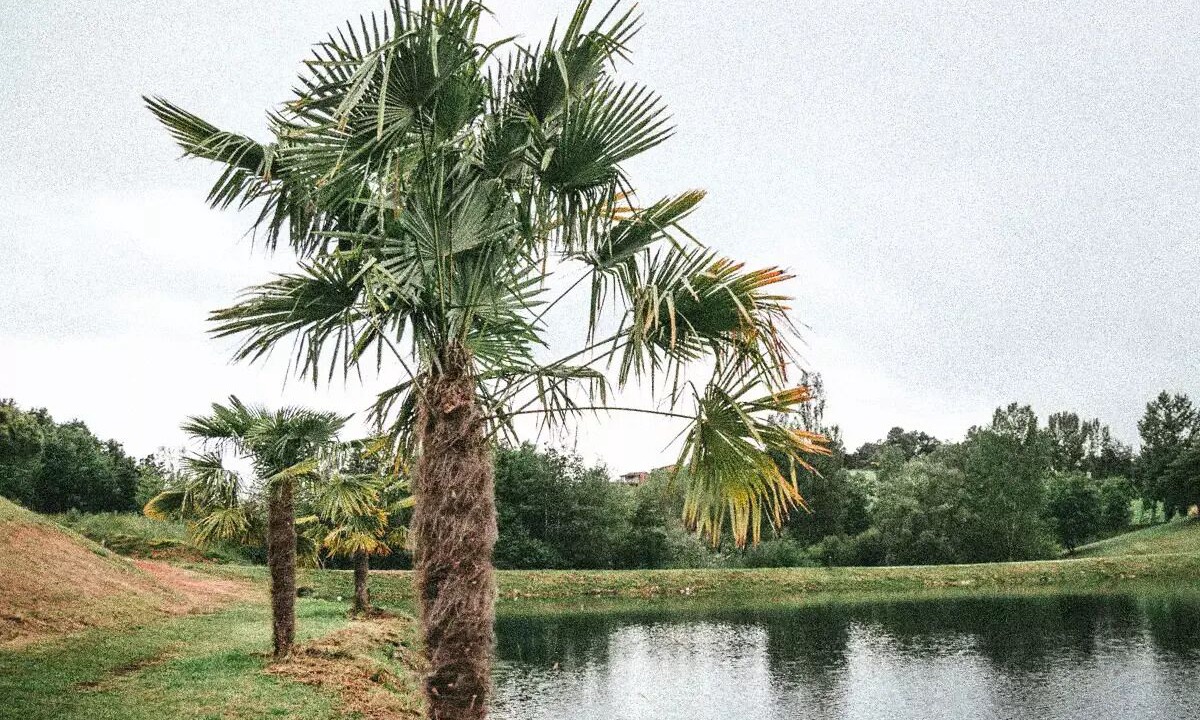 Photo of Outdoor in Monclar-de-Quercy