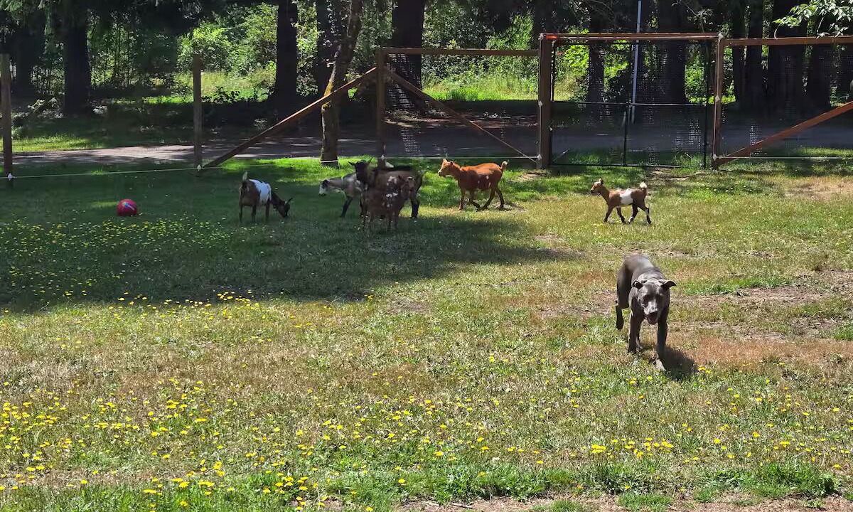 Photo of Others in Vernonia