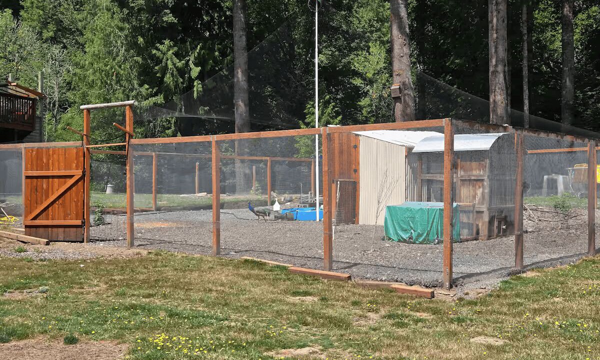 Photo of Outdoor in Vernonia