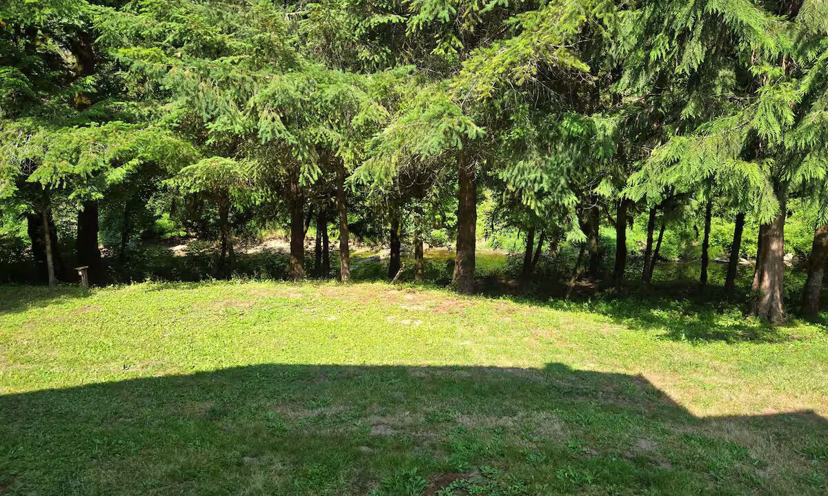 Photo of Others in Vernonia