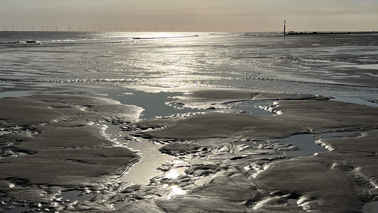 Photo of Others in Anderby Creek