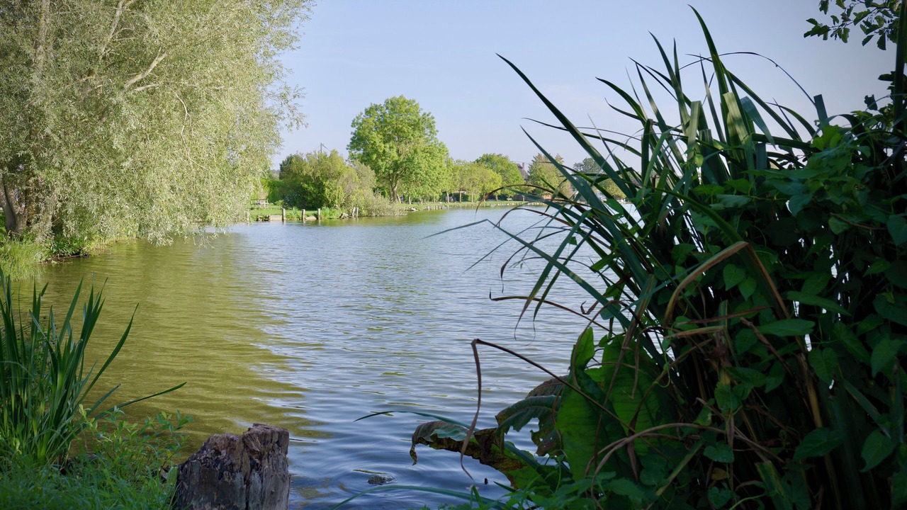 Photo of Others in Arleux
