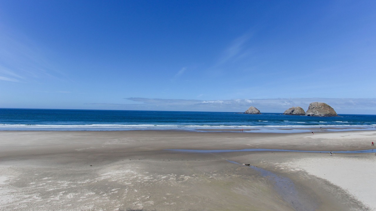 Photo of Others in Oceanside