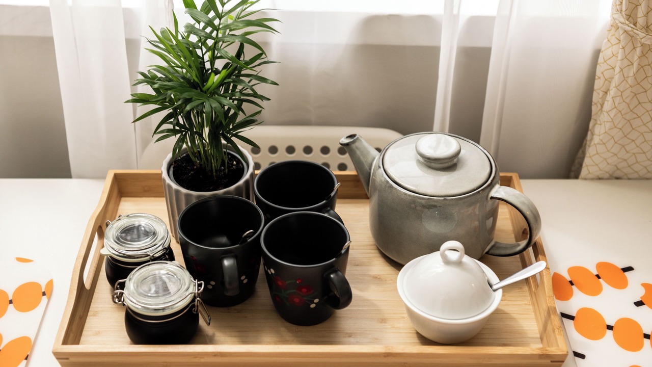 Photo of Others in Pimlico