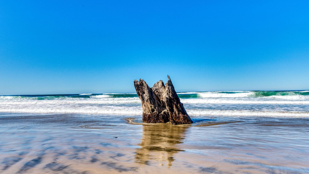 Photo of Others in Waldport