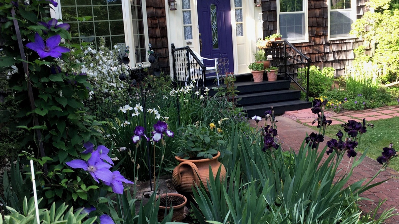 Photo of Others in Doylestown