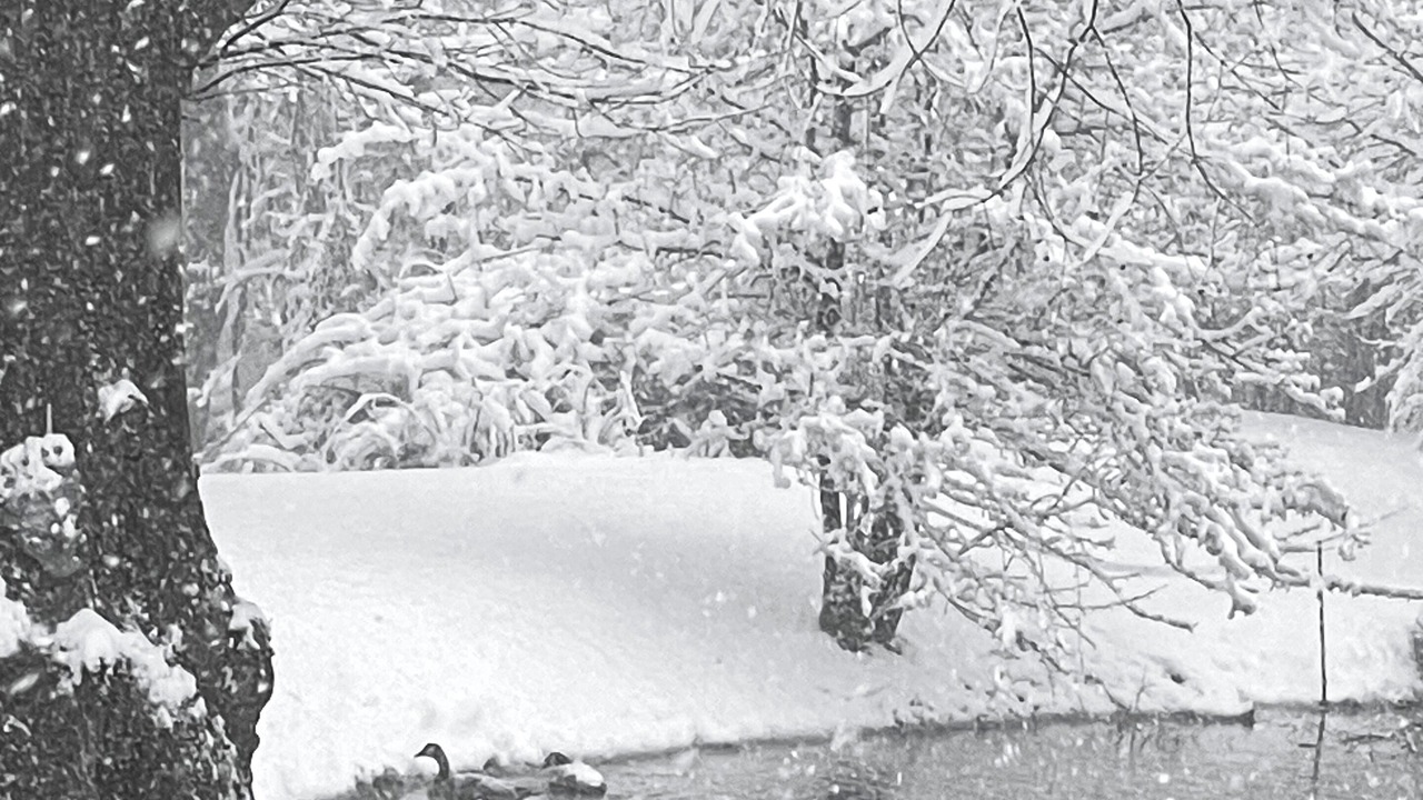 Photo of Others in Doylestown