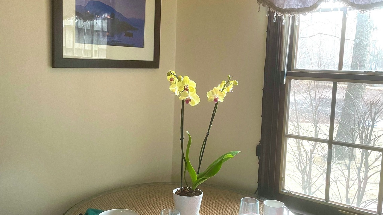 Photo of Others in Doylestown