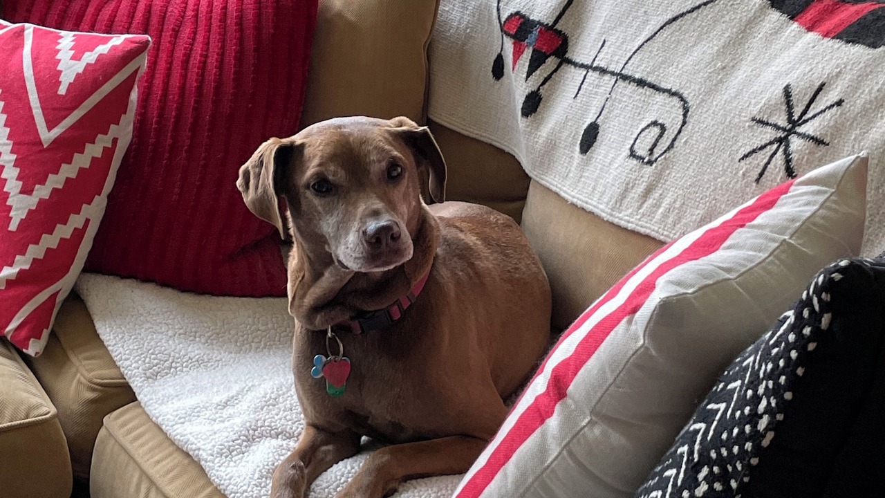 Photo of Bedroom in Doylestown