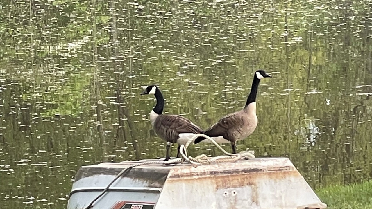 Photo of Others in Doylestown