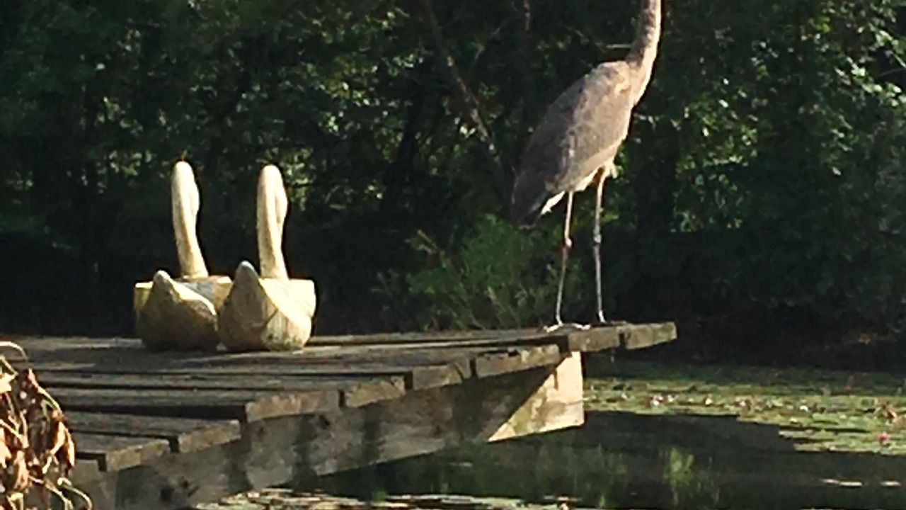 Photo of Others in Doylestown