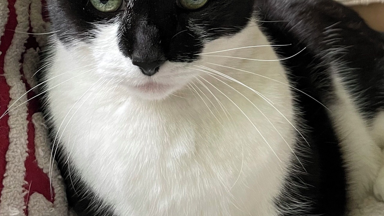 Photo of Bedroom in Doylestown