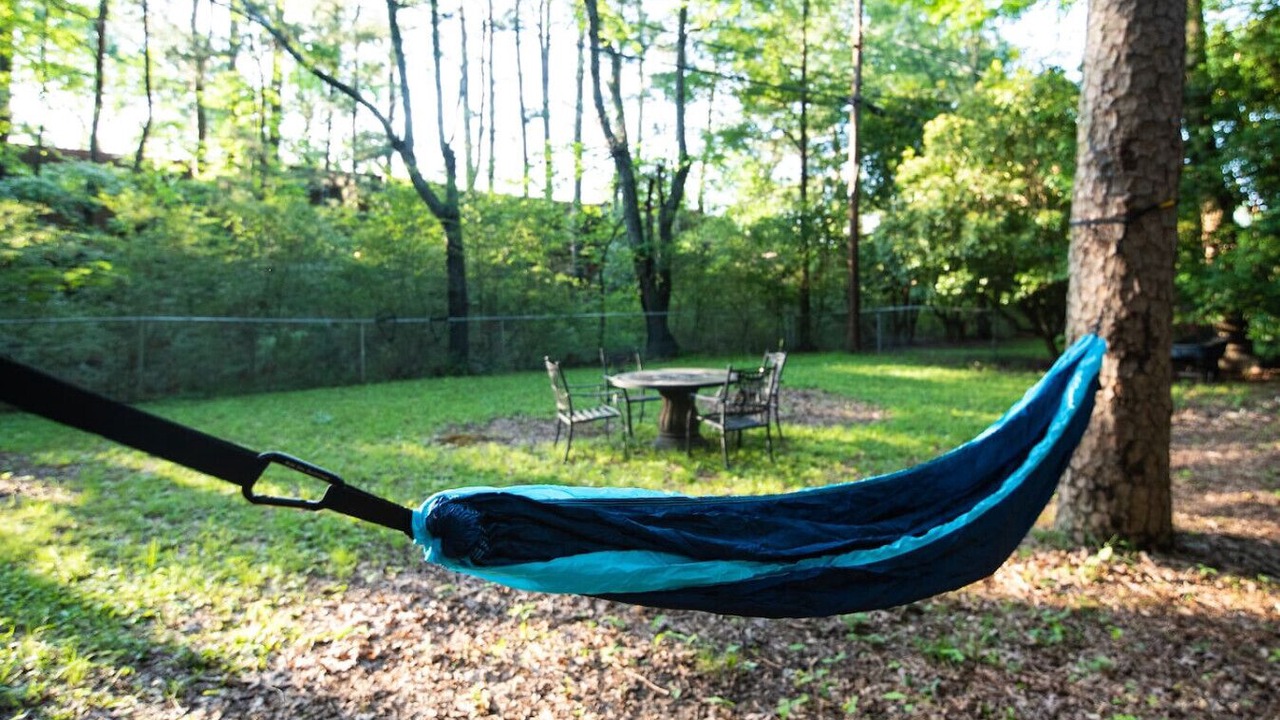 Photo of Outdoor in Little Rock