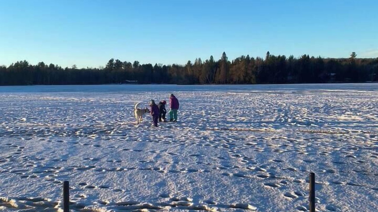 Photo of Outdoor in Gresham