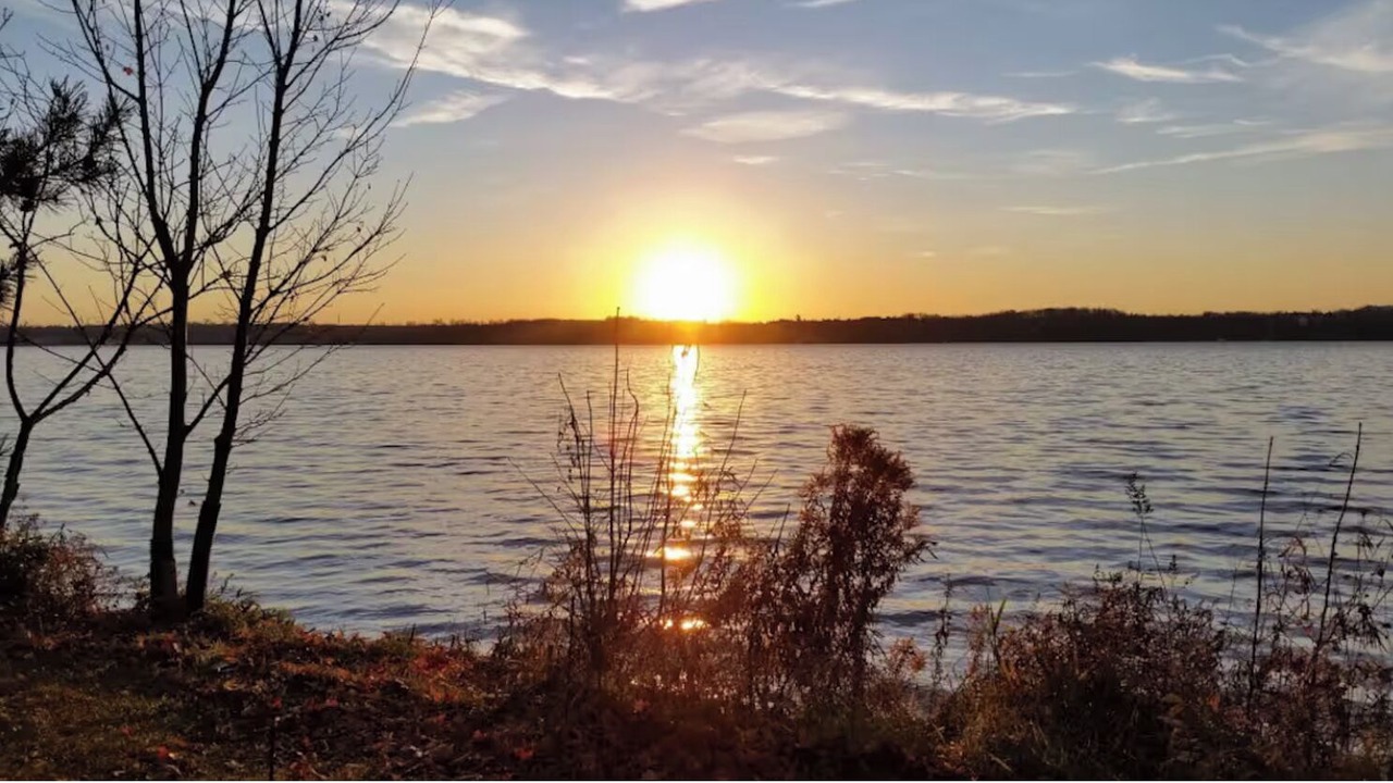 Photo of Others in Fenelon Falls