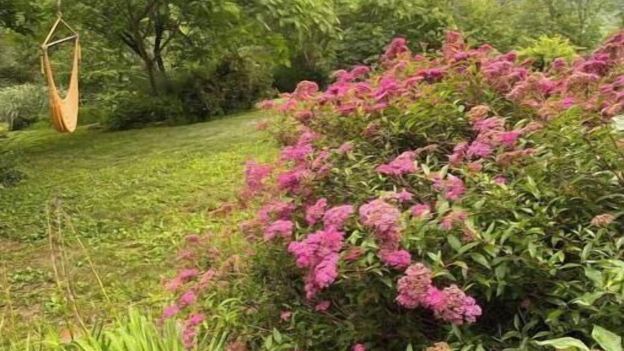 Photo of Outdoor in Morgan County