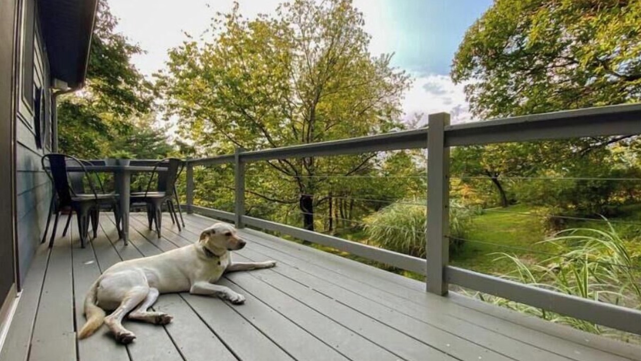 Photo of Outdoor in Morgan County