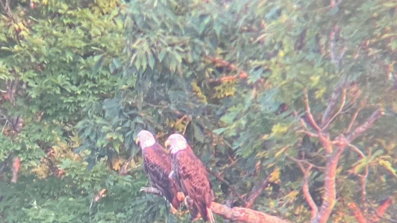 Photo of Others in Edwards