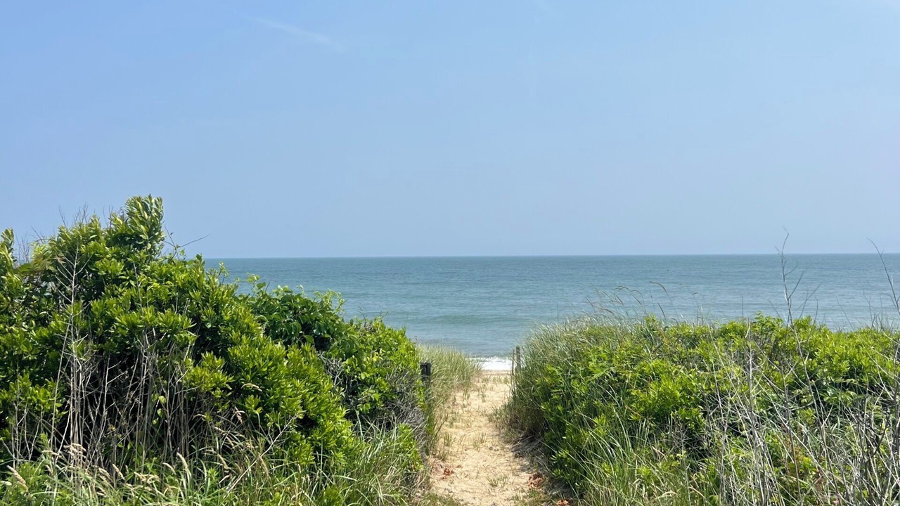 Photo of Others in Quidnet