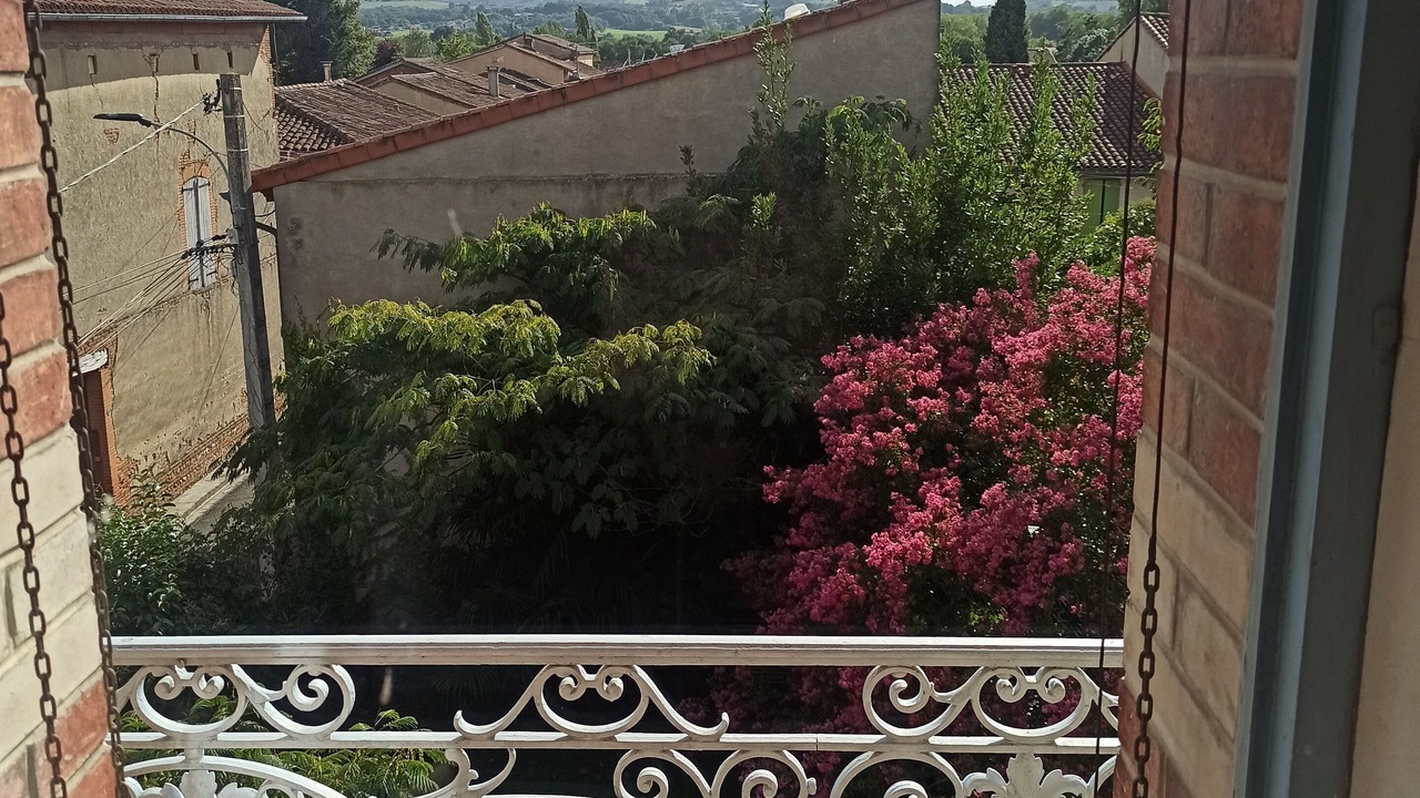 Photo of Others in Montesquieu-Volvestre