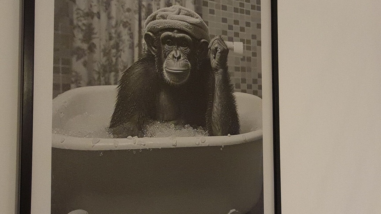 Photo of Others in Preures