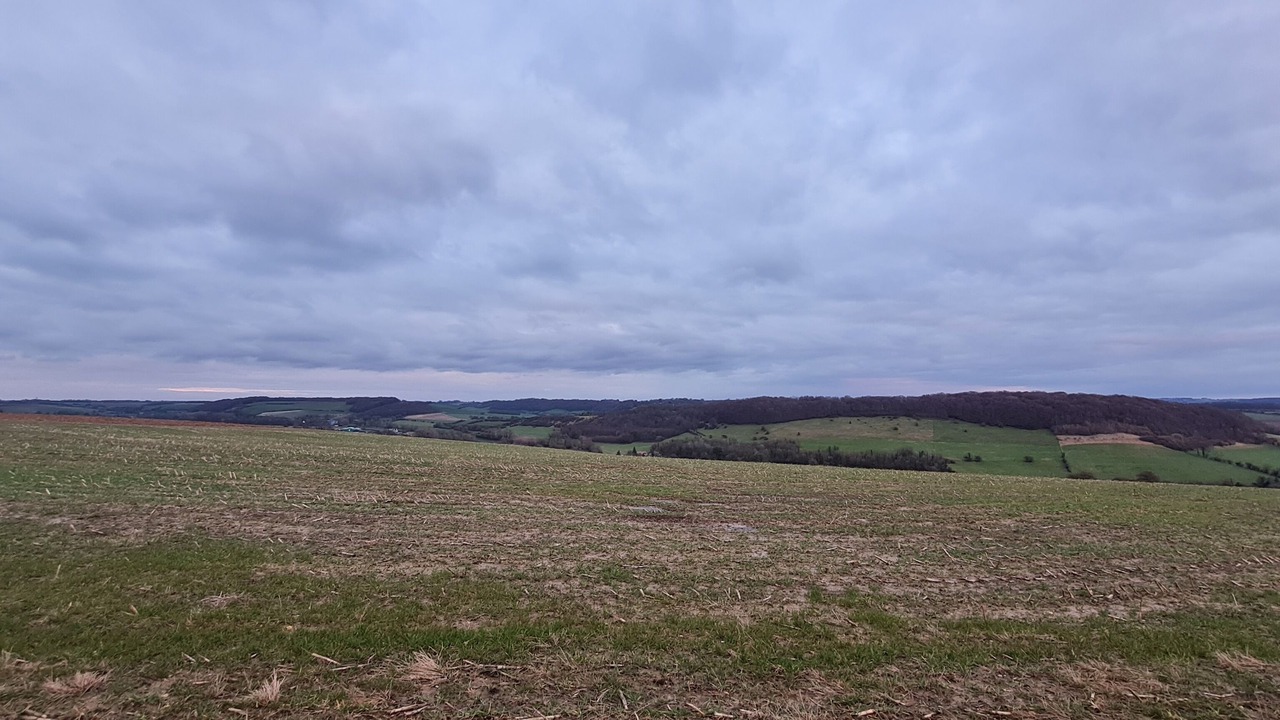 Photo of Others in Preures