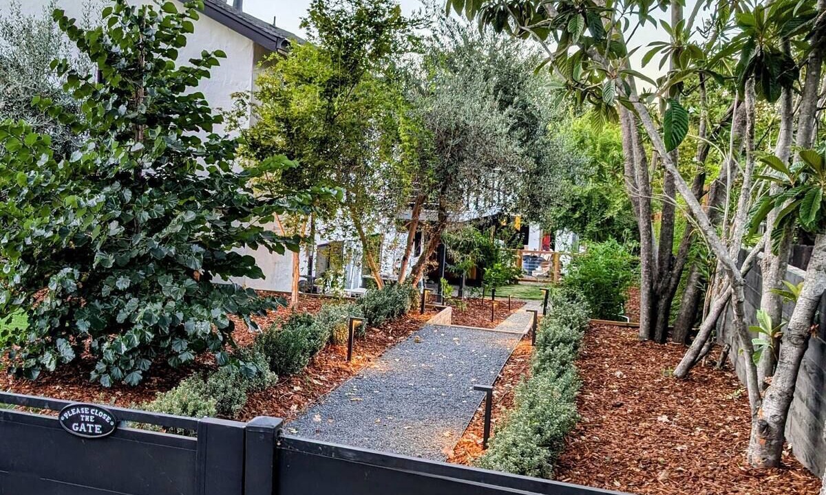 Photo of Others in St. Helena