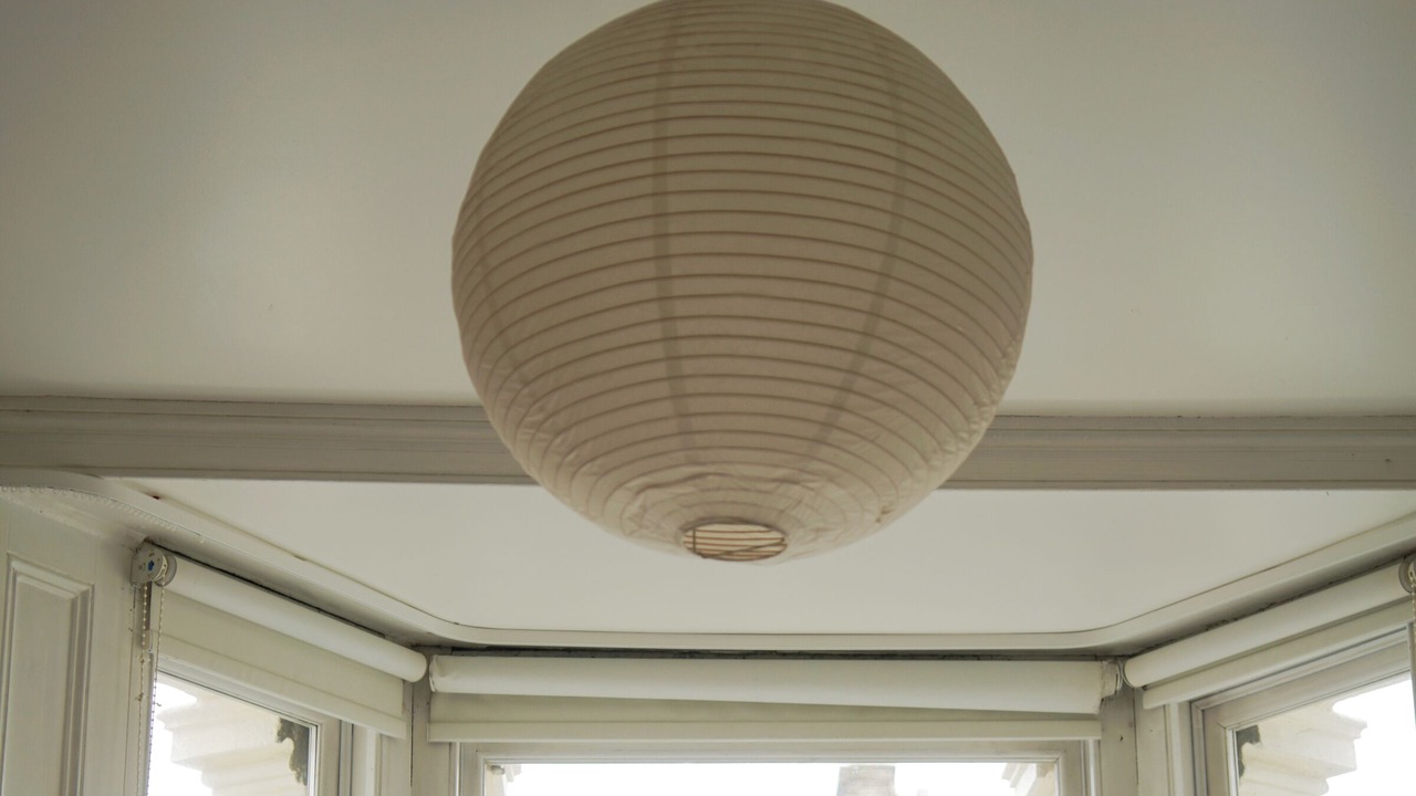 Photo of Others in King's Park