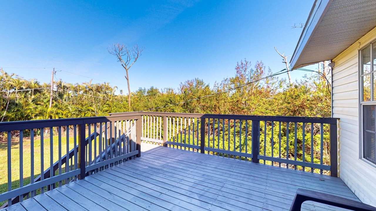 Photo of Others in Charlotte Park