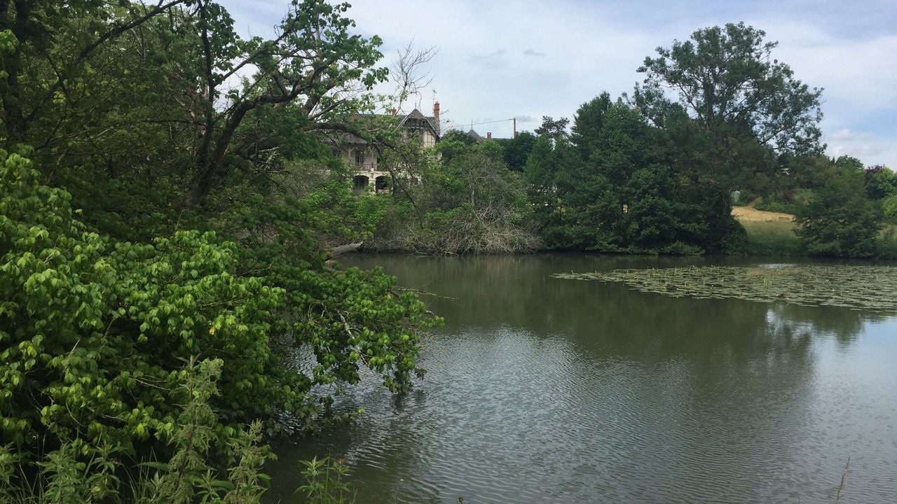 Photo of Others in Griselles