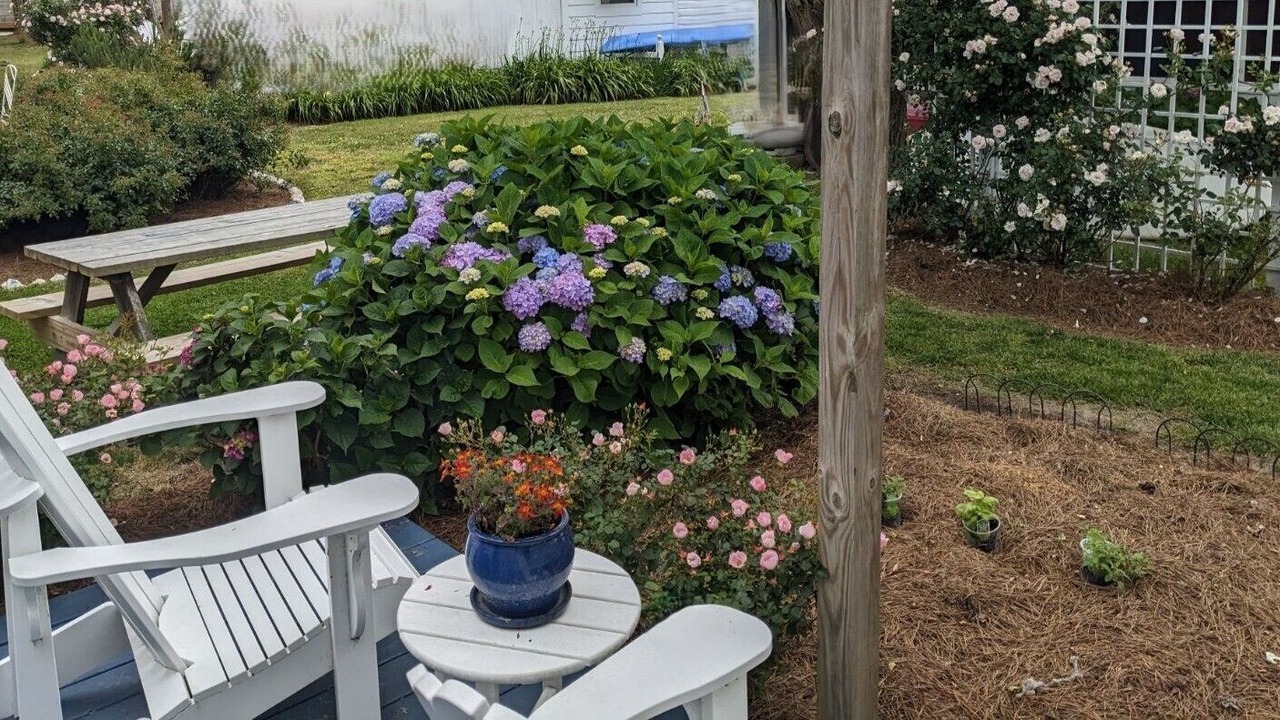 Photo of Outdoor in Silver Beach