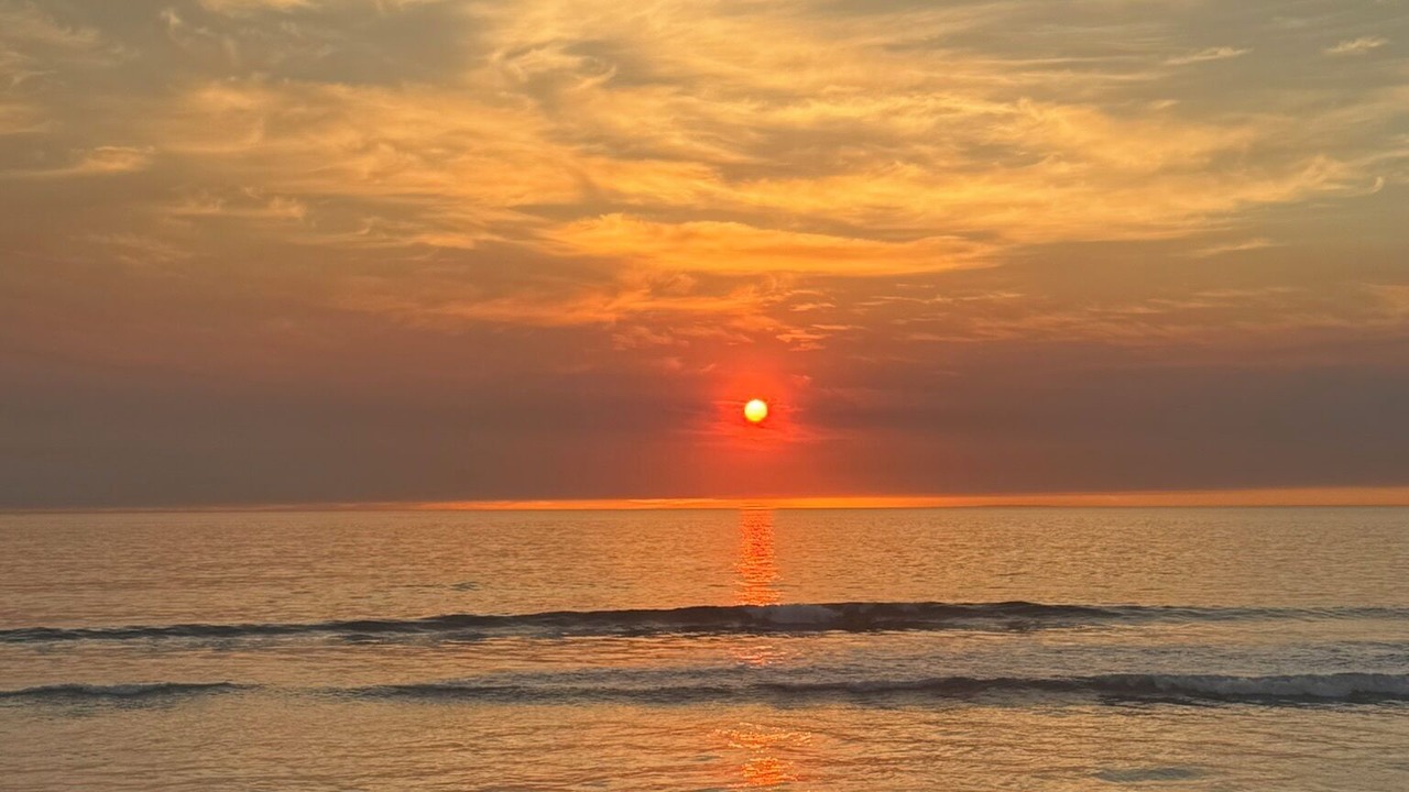 Photo of Others in South Oceanside