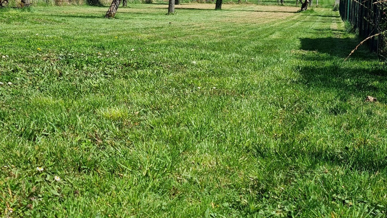 Photo of Outdoor in Lucay-le-Male